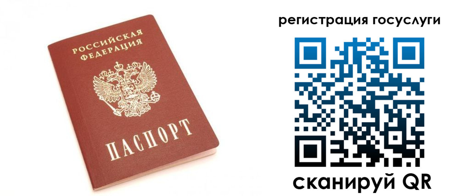 прописка для школы в Жирновске